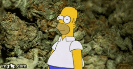 image tagged in gifs | made w/ Imgflip video-to-gif maker