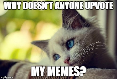 What did I do to deserve this? | WHY DOESN'T ANYONE UPVOTE; MY MEMES? | image tagged in memes,first world problems cat,cats | made w/ Imgflip meme maker
