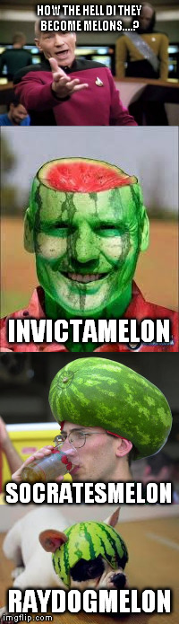 HOW THE HELL DI THEY BECOME MELONS....? RAYDOGMELON INVICTAMELON SOCRATESMELON | made w/ Imgflip meme maker