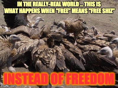 IN THE REALLY-REAL WORLD ... THIS IS WHAT HAPPENS WHEN "FREE" MEANS "FREE SHIZ" INSTEAD OF FREEDOM | made w/ Imgflip meme maker