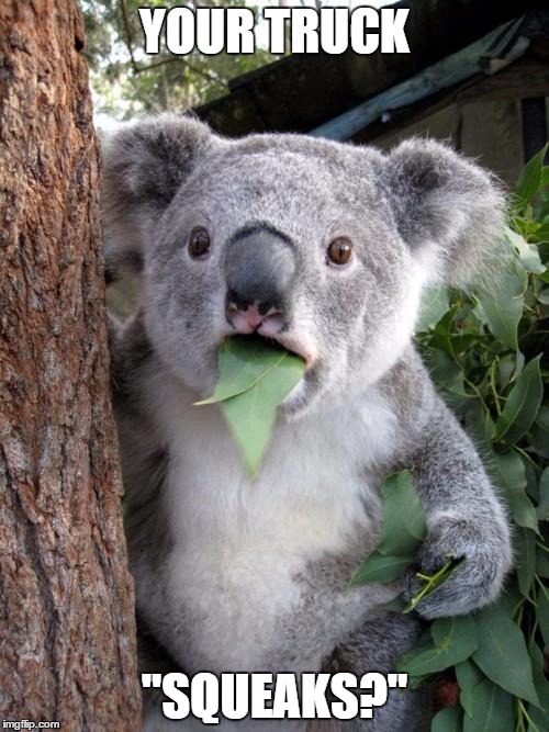 Surprised Koala | YOUR TRUCK; "SQUEAKS?" | image tagged in memes,surprised koala | made w/ Imgflip meme maker