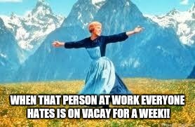 Look At All These | WHEN THAT PERSON AT WORK EVERYONE HATES IS ON VACAY FOR A WEEK!! | image tagged in memes,look at all these | made w/ Imgflip meme maker