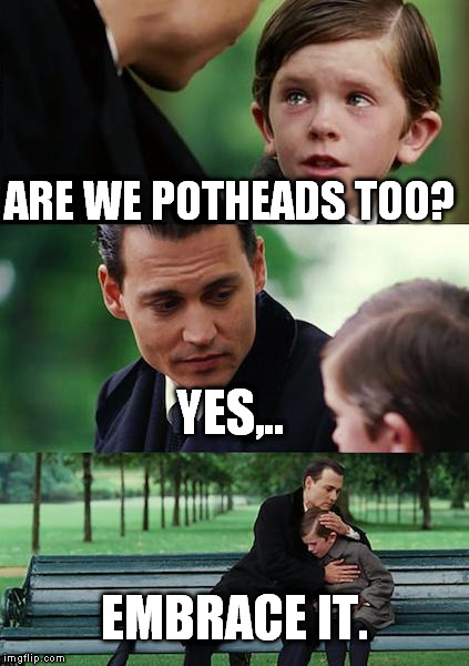 Finding Neverland Meme | ARE WE POTHEADS TOO? YES,.. EMBRACE IT. | image tagged in memes,finding neverland | made w/ Imgflip meme maker