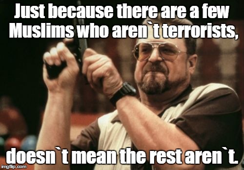 The double negative is on purpose | Just because there are a few Muslims who aren`t terrorists, doesn`t mean the rest aren`t. | image tagged in memes,am i the only one around here | made w/ Imgflip meme maker