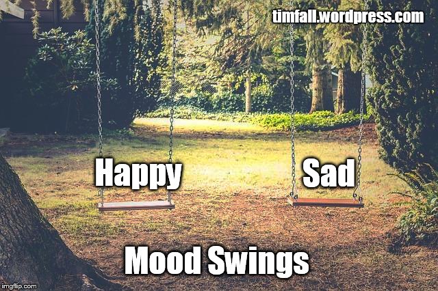 Mood Swings | timfall.wordpress.com; Happy; Sad; Mood Swings | image tagged in mood swings,swing set,happy and sad | made w/ Imgflip meme maker