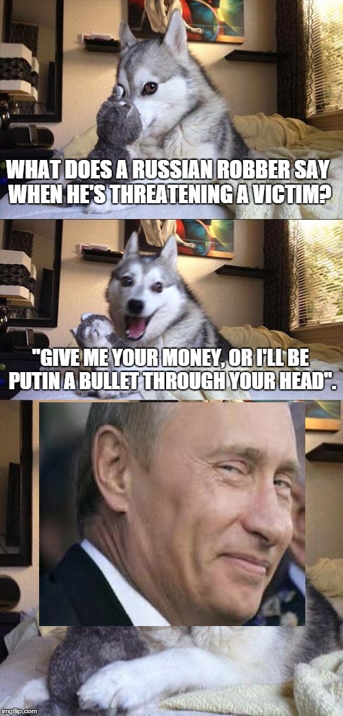 Bad Pun Dog Meme | WHAT DOES A RUSSIAN ROBBER SAY WHEN HE'S THREATENING A VICTIM? "GIVE ME YOUR MONEY, OR I'LL BE PUTIN A BULLET THROUGH YOUR HEAD". | image tagged in memes,bad pun dog | made w/ Imgflip meme maker