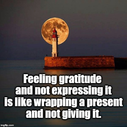 Feeling gratitude and not expressing it is like wrapping a prese | Feeling gratitude and not expressing it is like wrapping a present and not giving it. | image tagged in feeling gratitude and not expressing it is like wrapping a prese | made w/ Imgflip meme maker