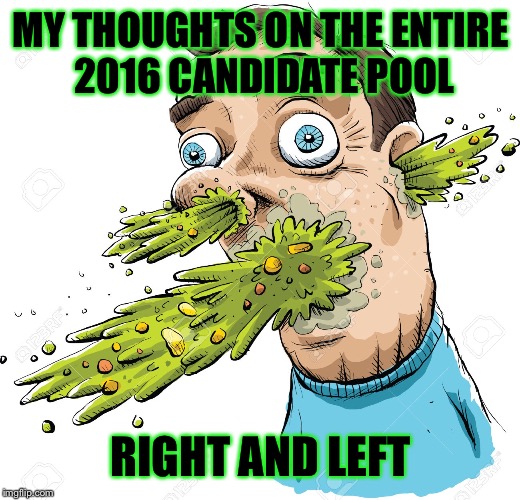 MY THOUGHTS ON THE ENTIRE 2016 CANDIDATE POOL RIGHT AND LEFT | image tagged in erp | made w/ Imgflip meme maker