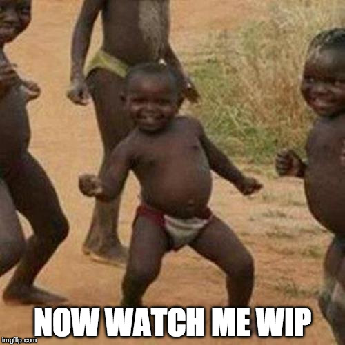 Third World Success Kid Meme | NOW WATCH ME WIP | image tagged in memes,third world success kid | made w/ Imgflip meme maker