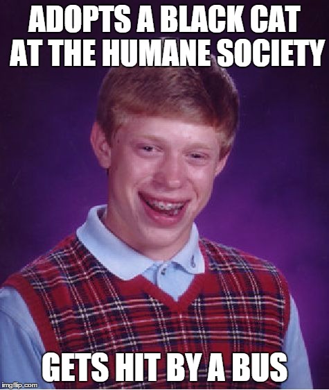 Bad Luck Brian | ADOPTS A BLACK CAT AT THE HUMANE SOCIETY; GETS HIT BY A BUS | image tagged in memes,bad luck brian | made w/ Imgflip meme maker