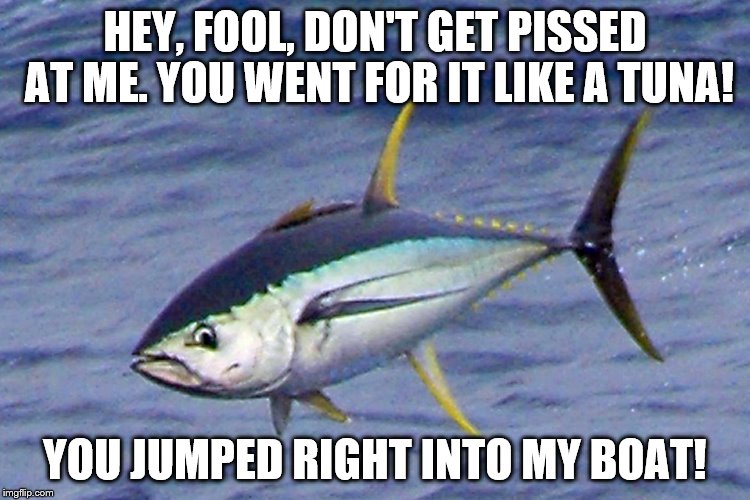 Went for it like a tuna | HEY, FOOL, DON'T GET PISSED AT ME. YOU WENT FOR IT LIKE A TUNA! YOU JUMPED RIGHT INTO MY BOAT! | image tagged in like a tuna,memes,boat,trolled,fool,jump | made w/ Imgflip meme maker