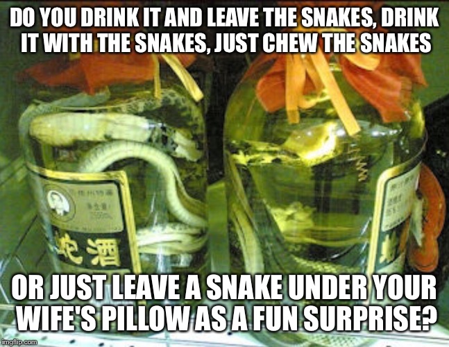 DO YOU DRINK IT AND LEAVE THE SNAKES, DRINK IT WITH THE SNAKES, JUST CHEW THE SNAKES; OR JUST LEAVE A SNAKE UNDER YOUR WIFE'S PILLOW AS A FUN SURPRISE? | image tagged in chinese snake alcohol | made w/ Imgflip meme maker
