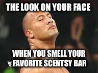 THE LOOK ON YOUR FACE; WHEN YOU SMELL YOUR FAVORITE SCENTSY BAR | image tagged in scentsy | made w/ Imgflip meme maker