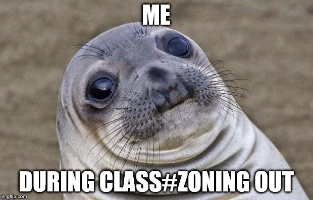 Awkward Moment Sealion Meme | ME; DURING CLASS#ZONING OUT | image tagged in memes,awkward moment sealion | made w/ Imgflip meme maker