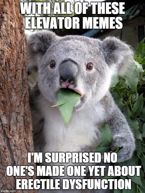 Surprised Koala Meme | WITH ALL OF THESE ELEVATOR MEMES; I'M SURPRISED NO ONE'S MADE ONE YET ABOUT ERECTILE DYSFUNCTION | image tagged in memes,surprised koala | made w/ Imgflip meme maker