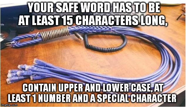 I.T. Bdsm | YOUR SAFE WORD HAS TO BE AT LEAST 15 CHARACTERS LONG, CONTAIN UPPER AND LOWER CASE, AT LEAST 1 NUMBER AND A SPECIAL CHARACTER | image tagged in tech sex | made w/ Imgflip meme maker
