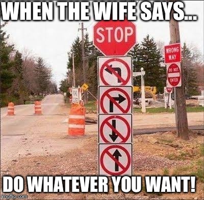 True Story | WHEN THE WIFE SAYS... DO WHATEVER YOU WANT! | image tagged in funny,true story,the struggle is real,married,wife | made w/ Imgflip meme maker