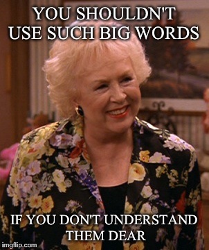 YOU SHOULDN'T USE SUCH BIG WORDS IF YOU DON'T UNDERSTAND THEM DEAR | made w/ Imgflip meme maker