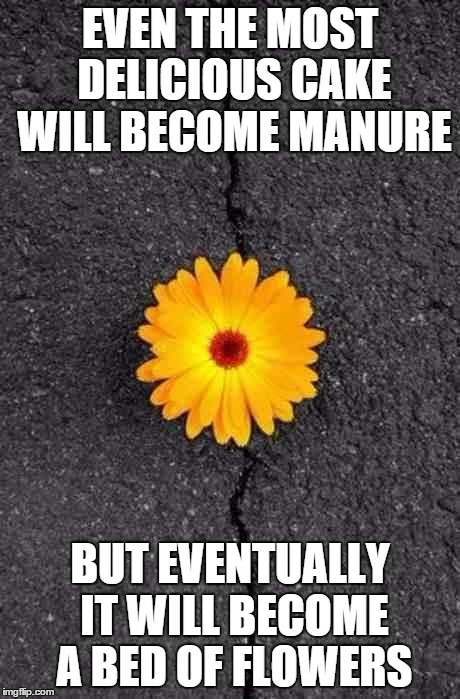 Flower In Concrete | EVEN THE MOST DELICIOUS CAKE WILL BECOME MANURE; BUT EVENTUALLY IT WILL BECOME A BED OF FLOWERS | image tagged in flower in concrete | made w/ Imgflip meme maker