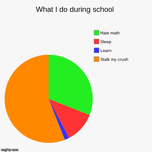 image tagged in funny,pie charts | made w/ Imgflip chart maker