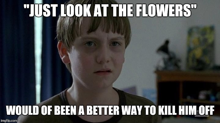 Sam The Walking Dead | "JUST LOOK AT THE FLOWERS"; WOULD OF BEEN A BETTER WAY TO KILL HIM OFF | image tagged in sam the walking dead | made w/ Imgflip meme maker