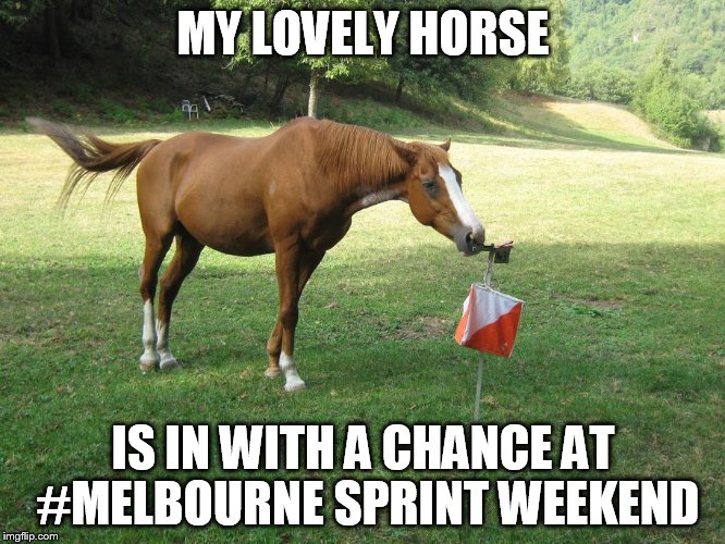 MY LOVELY HORSE; IS IN WITH A CHANCE AT #MELBOURNE SPRINT WEEKEND | made w/ Imgflip meme maker