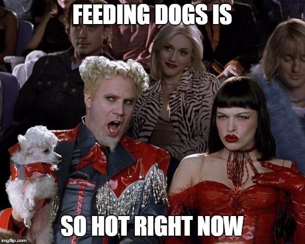 Mugatu So Hot Right Now Meme | FEEDING DOGS IS; SO HOT RIGHT NOW | image tagged in memes,mugatu so hot right now | made w/ Imgflip meme maker