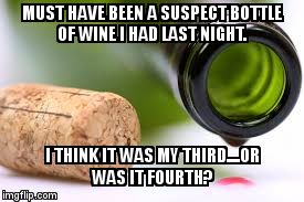 empty wine bottle | MUST HAVE BEEN A SUSPECT BOTTLE OF WINE I HAD LAST NIGHT. I THINK IT WAS MY THIRD....OR WAS IT FOURTH? | image tagged in empty wine bottle | made w/ Imgflip meme maker