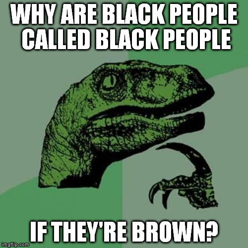 Philosoraptor Meme | WHY ARE BLACK PEOPLE CALLED BLACK PEOPLE; IF THEY'RE BROWN? | image tagged in memes,philosoraptor | made w/ Imgflip meme maker