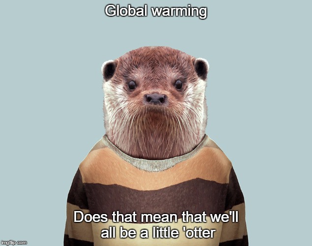 Al Gore's dystopian future | Global warming; Does that mean that we'll all be a little 'otter | image tagged in otter | made w/ Imgflip meme maker