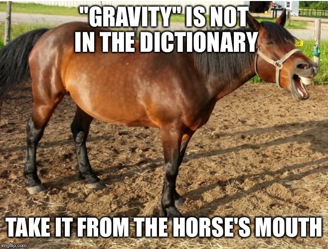LAUGHING HORSE | "GRAVITY" IS NOT IN THE DICTIONARY TAKE IT FROM THE HORSE'S MOUTH | image tagged in laughing horse | made w/ Imgflip meme maker