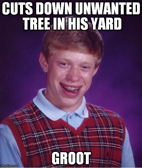 Bad Luck Brian Meme | CUTS DOWN UNWANTED TREE IN HIS YARD; GROOT | image tagged in memes,bad luck brian | made w/ Imgflip meme maker