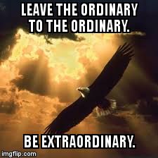 soaring eagle | LEAVE THE ORDINARY TO THE ORDINARY. BE EXTRAORDINARY. | image tagged in soaring eagle | made w/ Imgflip meme maker