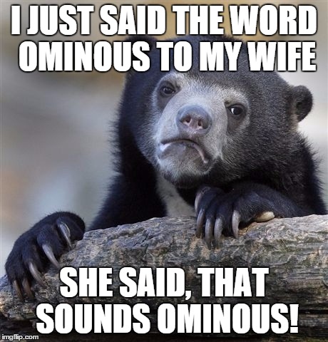 ominous bear | I JUST SAID THE WORD OMINOUS TO MY WIFE; SHE SAID, THAT SOUNDS OMINOUS! | image tagged in memes,confession bear,funny memes,funny | made w/ Imgflip meme maker