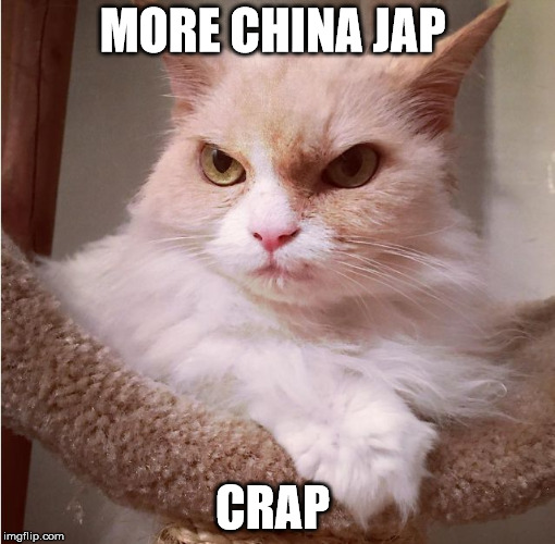 grumpier cat | MORE CHINA JAP; CRAP | image tagged in grumpier cat | made w/ Imgflip meme maker