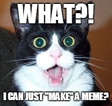 Surprised Cat | WHAT?! I CAN JUST "MAKE" A MEME? | image tagged in surprised cat | made w/ Imgflip meme maker