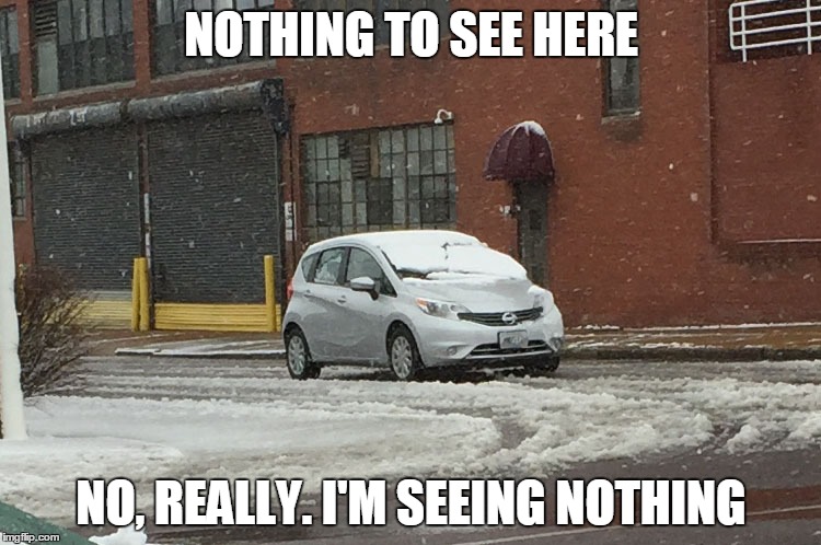 NOTHING TO SEE HERE; NO, REALLY. I'M SEEING NOTHING | image tagged in snow day | made w/ Imgflip meme maker