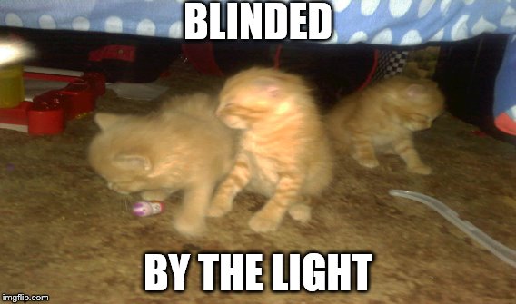 BLINDED; BY THE LIGHT | image tagged in memes | made w/ Imgflip meme maker