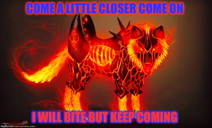 Bad mamga dog | COME A LITTLE CLOSER COME ON; I WILL BITE BUT KEEP COMING | image tagged in magma dog,dog,magma,hurt,i will bite | made w/ Imgflip meme maker