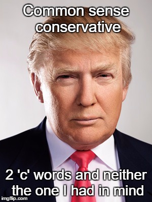 Cataclysm  | Common sense conservative; 2 'c' words and neither the one I had in mind | image tagged in donald trump | made w/ Imgflip meme maker