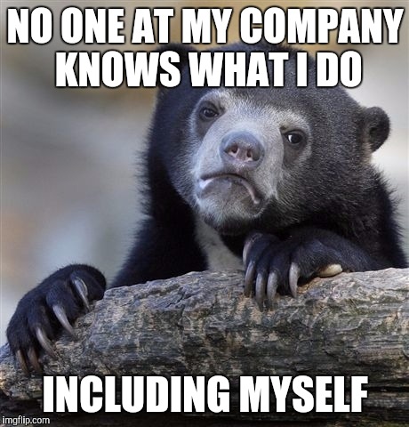 Confession Bear | NO ONE AT MY COMPANY KNOWS WHAT I DO; INCLUDING MYSELF | image tagged in memes,confession bear,AdviceAnimals | made w/ Imgflip meme maker
