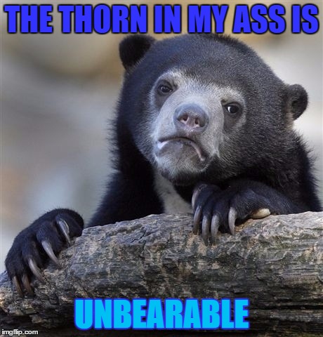 Confession Bear | THE THORN IN MY ASS IS; UNBEARABLE | image tagged in memes,confession bear | made w/ Imgflip meme maker