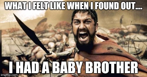 Sparta Leonidas | WHAT I FELT LIKE WHEN I FOUND OUT.... I HAD A BABY BROTHER | image tagged in memes,sparta leonidas | made w/ Imgflip meme maker