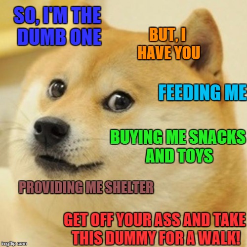 i may be dumb but i'm not dumber | SO, I'M THE DUMB ONE; BUT, I HAVE YOU; FEEDING ME; BUYING ME SNACKS AND TOYS; PROVIDING ME SHELTER; GET OFF YOUR ASS AND TAKE THIS DUMMY FOR A WALK! | image tagged in memes,doge | made w/ Imgflip meme maker