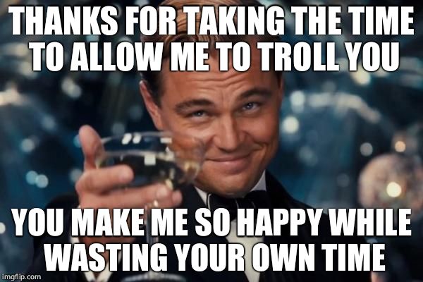 Leonardo Dicaprio Cheers Meme | THANKS FOR TAKING THE TIME TO ALLOW ME TO TROLL YOU; YOU MAKE ME SO HAPPY WHILE WASTING YOUR OWN TIME | image tagged in memes,leonardo dicaprio cheers | made w/ Imgflip meme maker