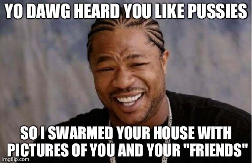 Yo Dawg Heard You | YO DAWG HEARD YOU LIKE PUSSIES; SO I SWARMED YOUR HOUSE WITH PICTURES OF YOU AND YOUR "FRIENDS" | image tagged in memes,yo dawg heard you | made w/ Imgflip meme maker
