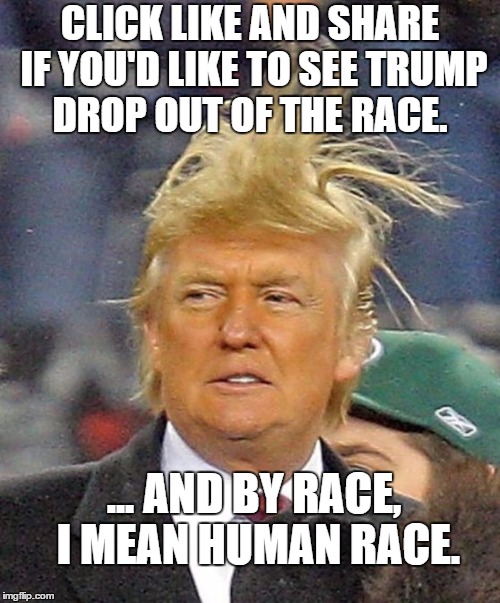 Donald Trumph hair | CLICK LIKE AND SHARE IF YOU'D LIKE TO SEE TRUMP DROP OUT OF THE RACE. ... AND BY RACE, I MEAN HUMAN RACE. | image tagged in donald trumph hair | made w/ Imgflip meme maker