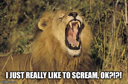 Roar | I JUST REALLY LIKE TO SCREAM, OK?!?! | image tagged in roar | made w/ Imgflip meme maker