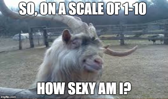 Hey babe | SO, ON A SCALE OF 1-10; HOW SEXY AM I? | image tagged in goat | made w/ Imgflip meme maker