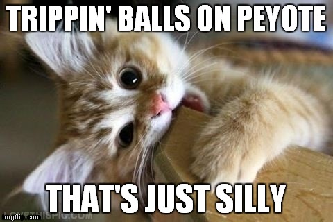 TRIPPIN' BALLS ON PEYOTE THAT'S JUST SILLY | made w/ Imgflip meme maker